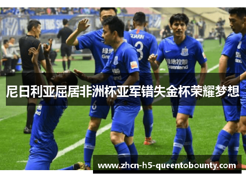 尼日利亚屈居非洲杯亚军错失金杯荣耀梦想